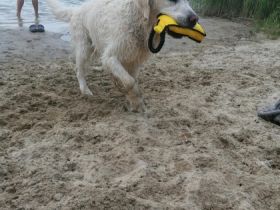 Eero Samu Antero Rufname Samu