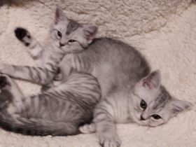 Von Team Anna und Elsa