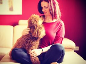 Gäuboden Pudelglück