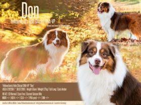 Yellowstone's Hola Chicas! "Don"