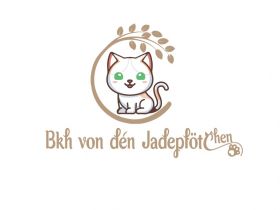 Bkh von den Jadepfötchen