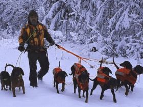 von Widarshall (FCI)