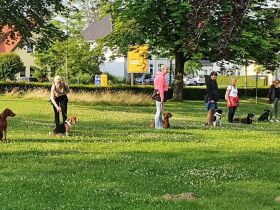 Hundeschule HST Osnabrück