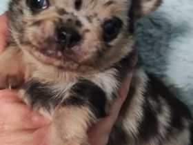 Dieser Schatz hat schon ein zu Hause gefunden ;-)