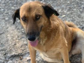 Mamy - wartet darauf entdeckt zu werden🥰🍀