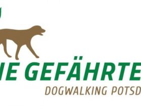 Die Gefährten Dogwalking Potsdam