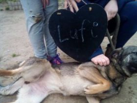 Lufi, Unsere Mutter Nyunyu hat man hochträchtig in der