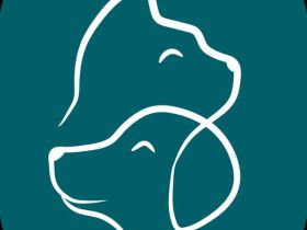 Tierheilpraxis Johanna Schilling