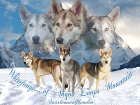 Whitefang's ... of Angou Loup's Mountain