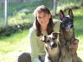 Hundeschule Sonnenwald