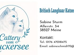 Cattery vom Zuckersee