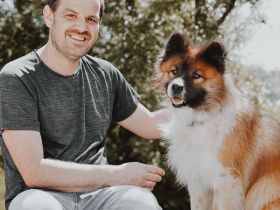 Hundeschule Josef Reithmeier