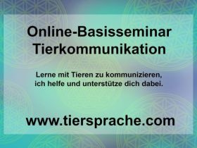 Online Tierkommunikation erlernen