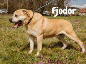 Fjodor- Du und ich gegen den Rest der Welt