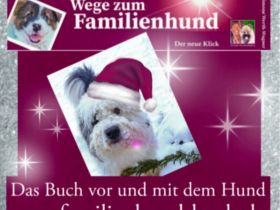 Weihnachtsgeschenk Hundebuch