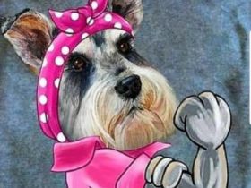 Ihr kompetenter Hundefrisör in Ostfriesland!