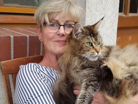 Maine Coon Cats of Bloomingtree