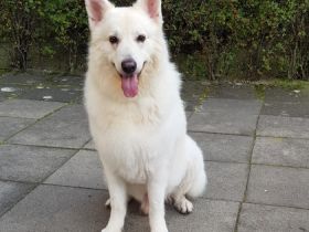 Argon Snow von der Nordhelle