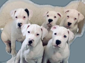 Beschreibung Details Anbieter Hallo, an alle