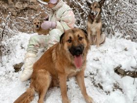 Auf Grizzlys Wunschliste stünde noch ein Garten