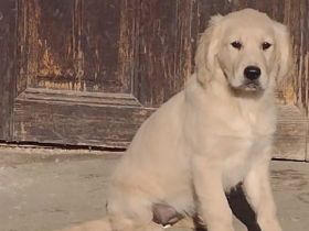 Ein Junge und ein Mädchen suchen nach langer