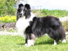 Coober Pedy Jumping over the Rainbow