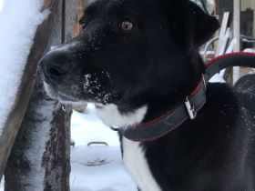 Vicky (geboren 2018) wurde kurz vor Einbruch des