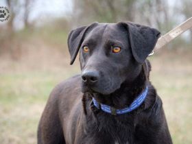 LIZA, die sportliche Liebe