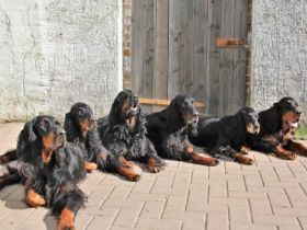 Von Duncunyah Castle