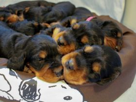 Of Glennfinnan's Magic