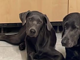 Nun ist es soweit,am 06.12.2021 wurden die kleinen