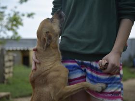ÖRS, bewegungsfreudiger Frauenheld -:)