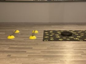 Schnauze, Fell und Pfoten