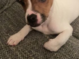 Hallo ihr lieben da draußen. Ich möchte Euch gerne