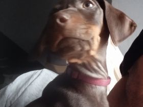 Am 21.11.2021 hat Unsere Rosiwunderschöne Babys auf die