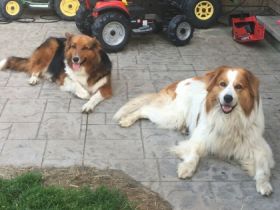 Wir erwarten in den nächsten Wochen unseren zweiten und