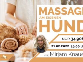 WEBINAR Massage am eigenen Hund