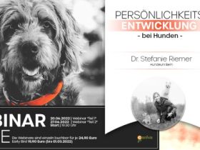 WEBINAR - Persönlichkeitsentwicklung bei Hunden