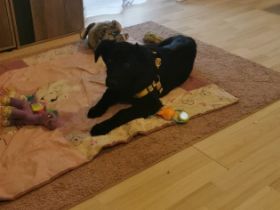 Hallo leider müssen wir uns aus persönlichen Gründen