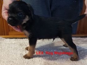 Wir freuen uns, Ihnen mitteilen zu können, dass am 20.