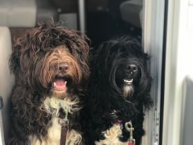 Wir sind jetzt 3 Wochen alt und freuen uns ab der 5.