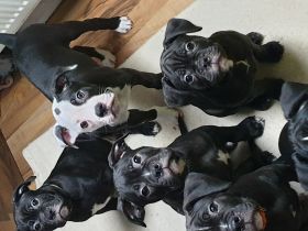 Unsere kleinen Babys, sind am 19.11.21 geboren, wurden