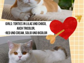 Vom Königsgruber Park