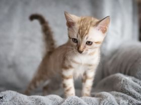 Dieser kleinen Snow-Prinzessin wünschen wir ein