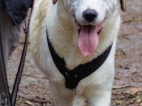 Seit einer Woche ist der am 02/21 geborene Terence