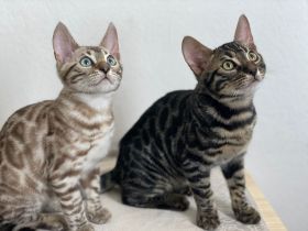 Hallo, es freut uns, dass wir Ihr Interesse geweckt