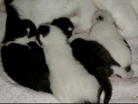 Bitte unbedingt bis zum Schluss lesen!! Hallo ihr