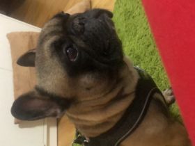 Cooper, Guten Tag ich verkaufe aus privaten Gründen