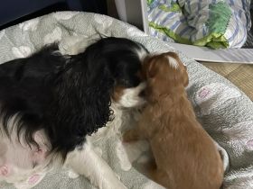 Die Babys sind am 20.02.2022 geboren und dürfen mit 12