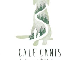 Cale Canis